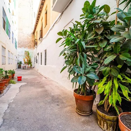 Apartment Urban Retreat Spacious Comfort Near Alicante